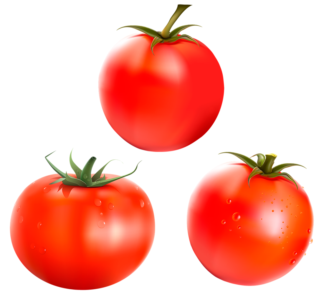 Tomato, fresh Tomato png, Tomato png image, Tomato transparent png image, Tomato png full hd images download